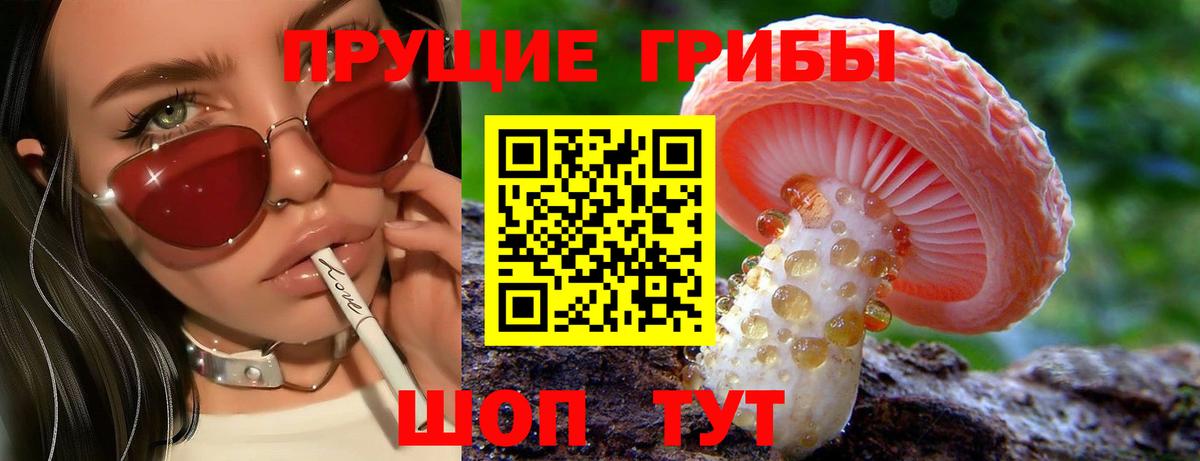 Псилоцибиновые грибы Cubensis Реутов