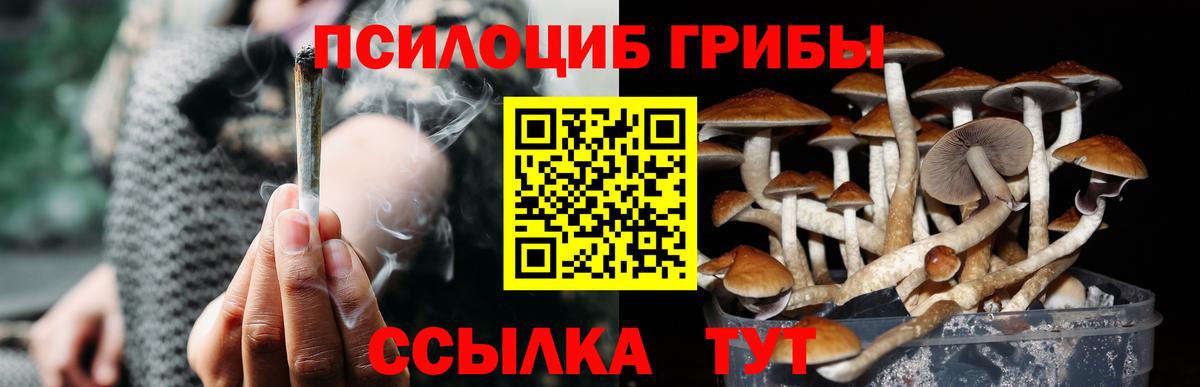 Галлюциногенные грибы GOLDEN TEACHER  Вход с VPN  Реутов 